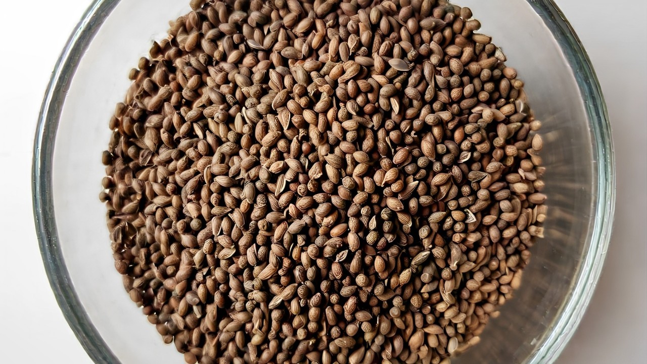 A bowl containing Carom seeds.