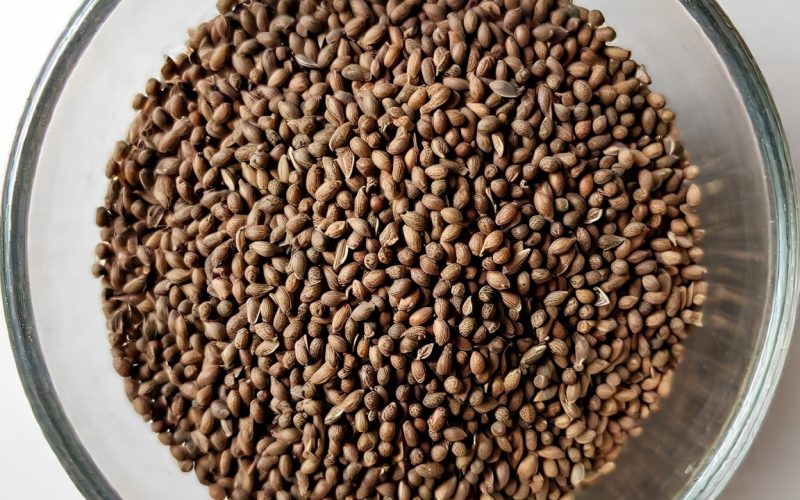 A bowl containing Carom seeds.