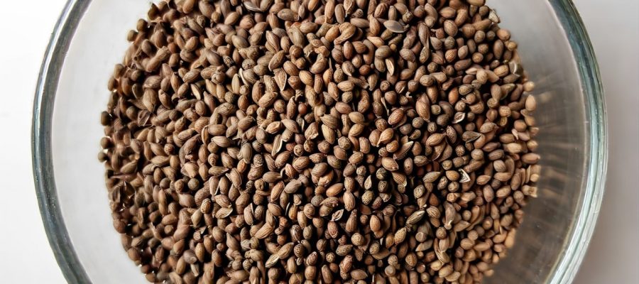 A bowl containing Carom seeds.