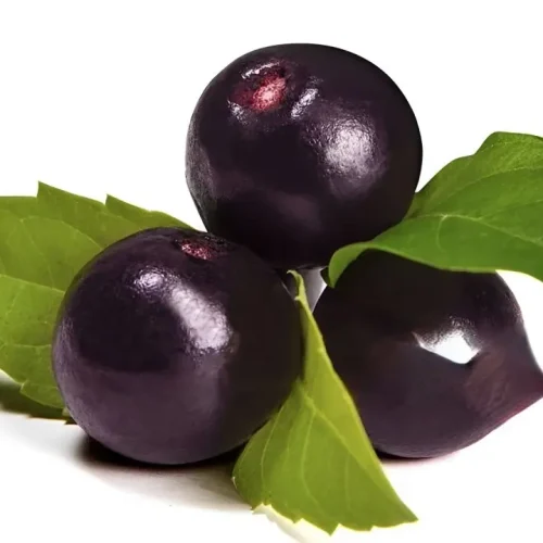 The Acai Berry: A Nutrient-Rich Superfood that is Good for Your Health